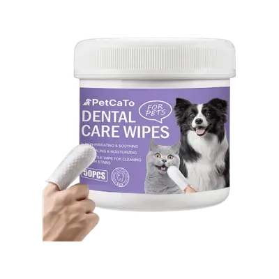 E164 Dental Care Wipe 50Pcs
