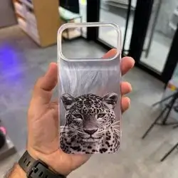 17 Promax case