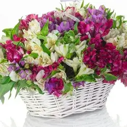 Basket Of Flowers