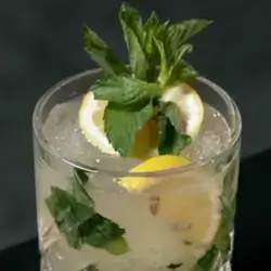 Mojito