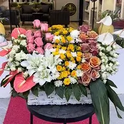 گوڵی سەبەتە