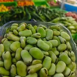 Bean