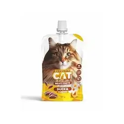 Euro Gold Cat