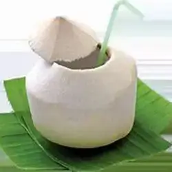 Fresh Thai Coconut Import Pcs