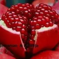 African Pomegranate