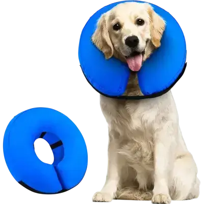 Supet Dog Collar XL