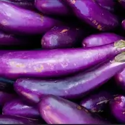 Pickled Eggplant