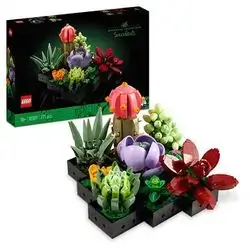 10309 Botanical Succulents