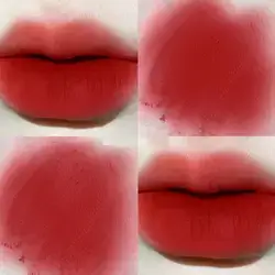 1pc Magic Casa Rabbit Print Matte Lip Glos - Shade:04