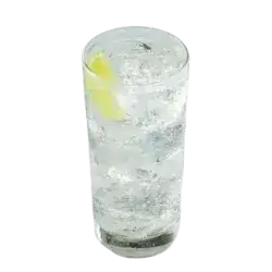 Sparkling Water With Lemon