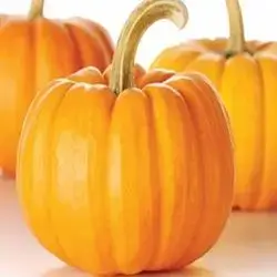Pumpkin