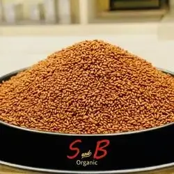 Garden Cress seeds ( clean and new)
