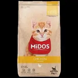 Midos kitten
