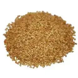 sesame 