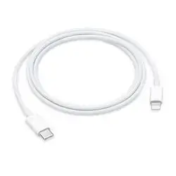 USB-C to Lightning Cable (1 m)