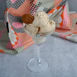 Scoop Ice Cream With Lotus Flavor