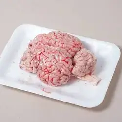 Beef Brain