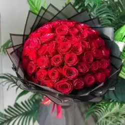 چەپکە گوڵی سروشتی گوڵی سوور
