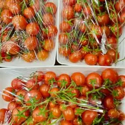 Red tomatoes box