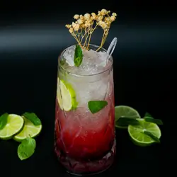 Black Berry Mojito