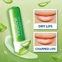 Vaseline Alovera