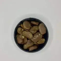 Broad beans