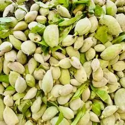 Green Almonds-500 G