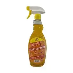 Easy Window Cleaner