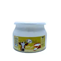 Wataniya Jar Yogurt with Cream 1 kg