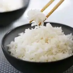 Rice