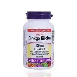 GINKO BILOBA 120MG 50:1 Extract 90SOFTGELS