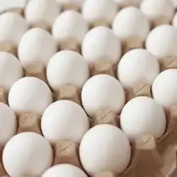 15 Eggs