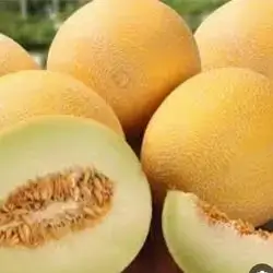 Muskmelon 2-3 KG