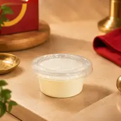 Garlic Mayo Sauce