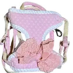 Leash & Harness S