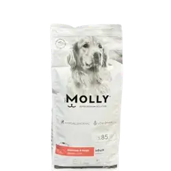 Molly - Medium & Large Adult - Derma Care - Salmon 2Kg