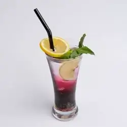 Blueberry Mojito
