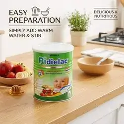 Ridielac Milk & Wheat with Fruits & Honey (400g)