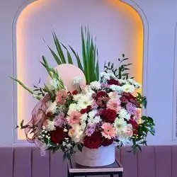 Box mix