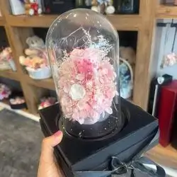 Forever Rose Pink With Vip Box