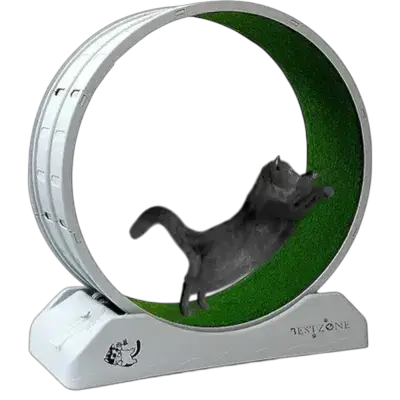 Cat Running Wheel L