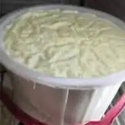 Lamb Yogurt
