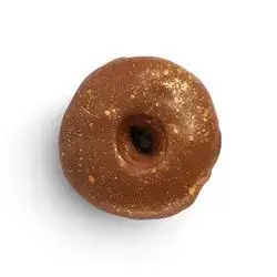 Chocolate Dipped