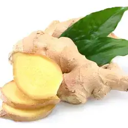 Ginger