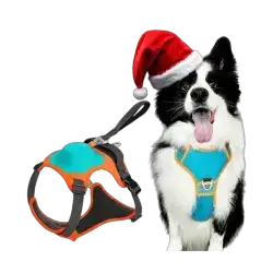 Dog Harness with Leash M