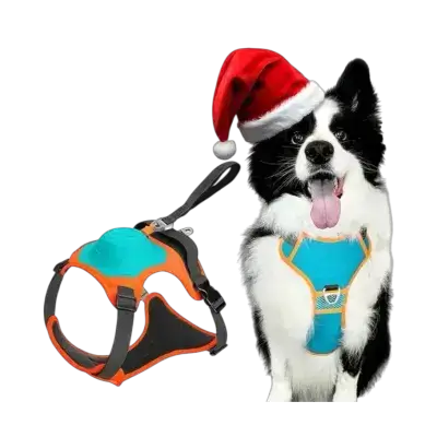 Dog Harness with Leash M