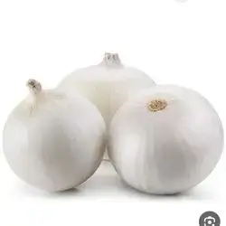 White Onion