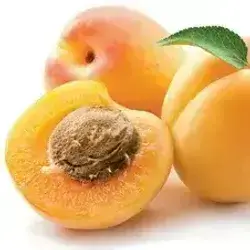 Apricot