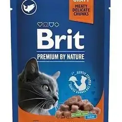 Brit sterilized Salmon 85g