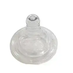 huge Feeding pacifier